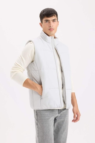Defacto Regular Fit Fermuarlı Şişme Yelek D6286AX25SP Gri