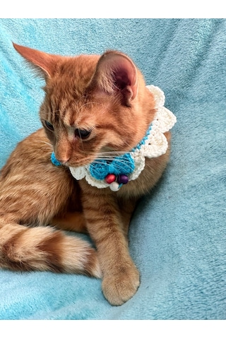 El Örgüsü Bncuklu Kedi Köpek Bağlama Tasma