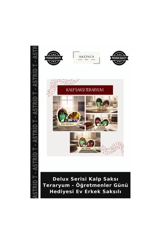 Delux Serisi Kalp Saksı Teraryum - Öğretmenler Günü Hediyesi Ev Erkek Saksılı