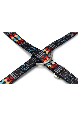 Beeztees Köpek Gezdirme Kayışı, Desenli, 200cm, 20mm Çok Renkli