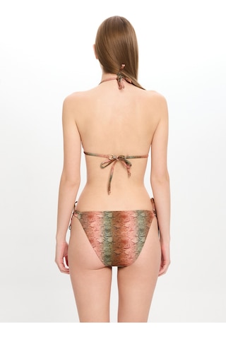 Toosalty Kadın Çok Renkli Yılan Desenli Küçük Üçgen Bikini 25sw009st Çok Renkli