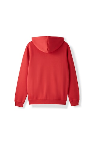 Gsstore Galatasaray Puma Fermuarlı Kapüşonlu Sweatshirt 78291001 Kırmızı