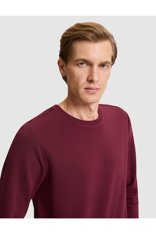 Pierre Cardin Bordo Regular Fit Basic Sweatshirt 50334023 Vr014