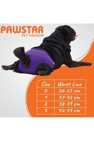 Yeşil Çizgili Kedi-köpek Çamaşırı Regl Kilodu Kedi-köpek Kıyafeti Green Striped Underwear
