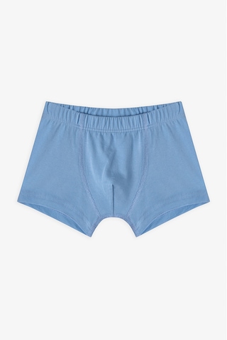 Penti Erkek Çocuk Blue Solid 3lü Çok Renkli Boxer