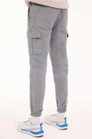 Lumberjack Ml Greys 23urb2055 4pr Erkek Kargo Pantolon Koyu Gri