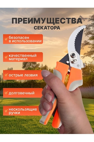 Serviskom Bahçe Budama Makası El Tipi 218472146