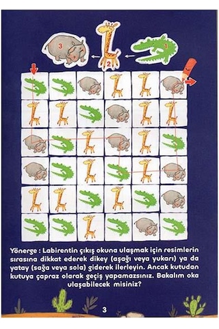 Dikkat ve Düşünme Becerileri - Mantıksal Diziler - Berkay Dinç Çakır - Eolo