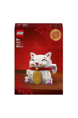 Şanslı Kedi 40813