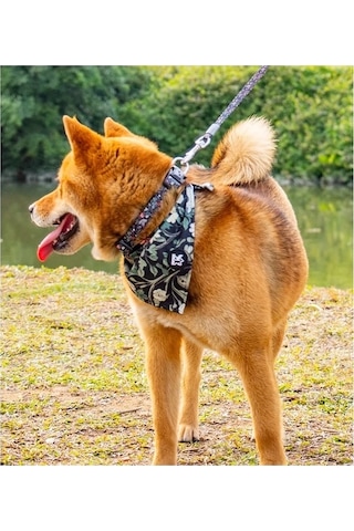 Honeybeeshop L Harness Ayarlanabilir Köpek Tasması Tasma Bandana Yaka Küçük Büyük Irklar İçin Nefes Alabilir Yumuşak Yürüyüş Ekipmanı Altın