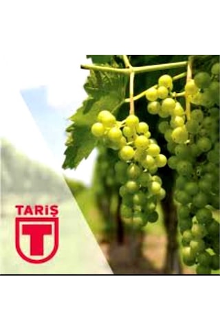 Tariş Üzüm Sirkesi 9 x 1 L