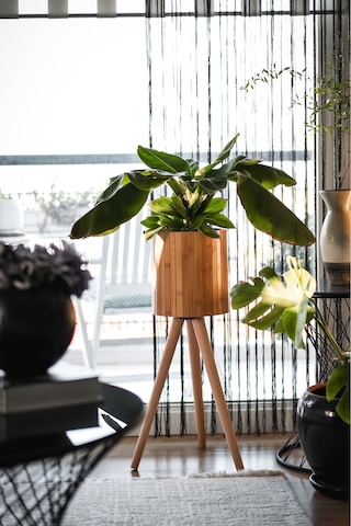 Bambu Ahşap Ayaklı Sepet Saksılık Naturel Çok Amaçlı İç Ve Dış Mekan Dekoratif Saksı Naturel Bambu