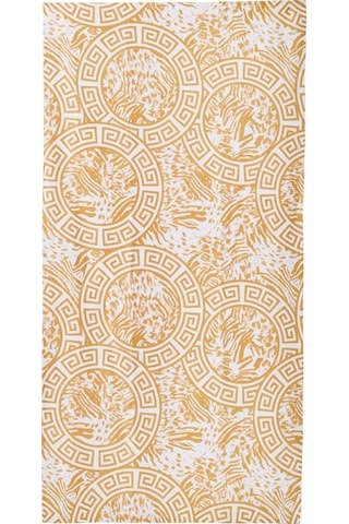 Plaj Havlusu (358844091)