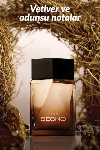 Avon Segno Erkek Parfüm EDP 75 ML