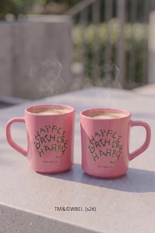 Harry Potter 2'li Kupa Seti Pembe 250 Cc