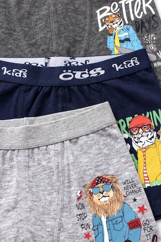 Öts Erkek Çocuk 3 Lü Pamuklu Boxer Baskılı Günlük Klasik Model 7386-3 Renkli