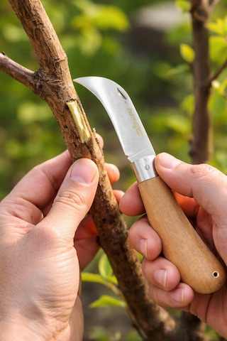 Senbang Kamp Bıçağı Seti 3 Lü El Yapımı Keskin Çelik Outdoor Bıçak, Ahşap Ve Krem Saplı Gri