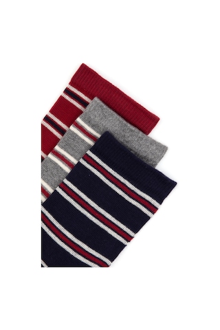 U.S. Polo Assn. U.s. Polo Assn. Erkek Çocuk Lacivert Çorap Soket 50318042-vr033
