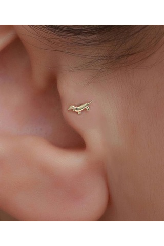 14 Ayar Altın Köpek Motifli Tragus Piercing Sarı Altın