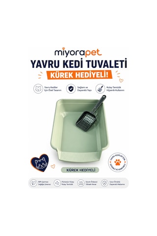 Yavru Kedi Tuvaleti