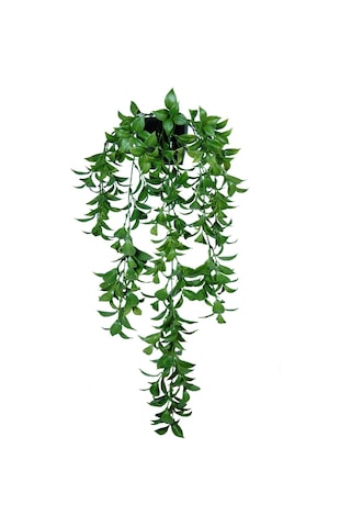 Yapay Çiçek Siyah Saksılı Sarkan Bitki FEJKA Yeşil