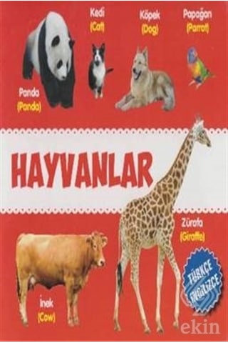 Hayvanlar Türkçe Ingilizce - Kolektif