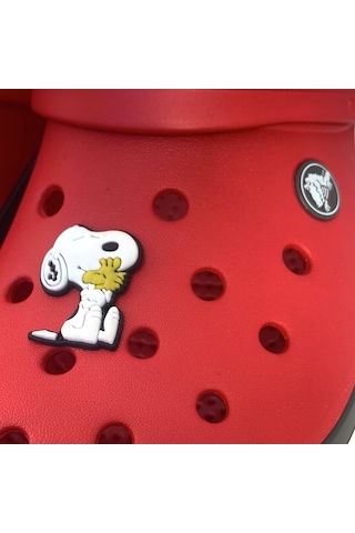 Crocs Terlik Süsü & Renkli Aksesuar Jibbitz (474782555)