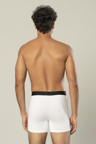 Erdem Beyaz Pamuk Elastan Uzun Boxer 1417 Beyaz