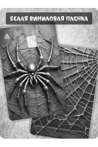 Fosti Kredi Kartı İçin Örümcek Çıkartması 393448070