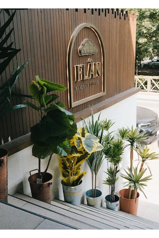The Mia Yapay Ficus Altissima Ağacı Sarı Yeşil 170 Cm