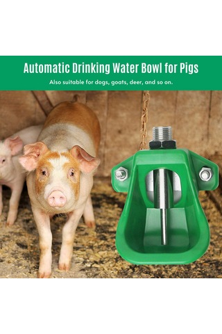 Leezsing Domuz Ve Kuzu İçme Kasesi - Plastik Otomatik Su İçirici - Paslanmaz Çelik Aksesuarlar İle Yeşil