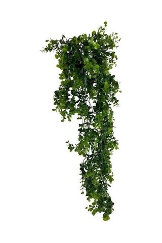 Yapay Çiçek Saksıda Sarkan Şimşir Okaliptus Yapay Sarmaşık 60Cm