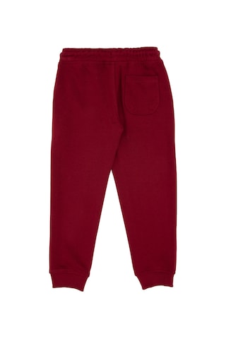 U.s. Polo Assn. Erkek Çocuk Bordo Eşofman Altı 50313825-vr014 Bordo