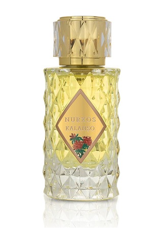 Nurxos 9708 Kalanşo EDP Erkek Parfümü 8681124697080 65 ML