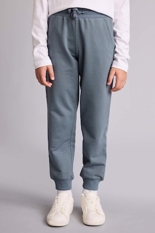 Defacto Regular Fıt Sweatshirt Kumaşı Pantolon Erkek Çocuk G0866a826spgr314 Gri-gr314