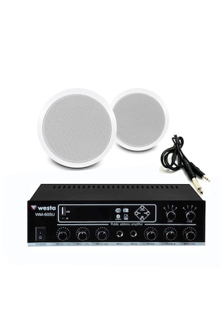 2 Li Beyaz Tavan Hoparlörlü Ses Sistemi Mağaza & Ofis Müzik Sistemi Bluetooth