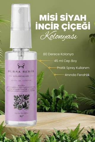 Misi Siyah İncir Çiçeği Kolonyası 45 Ml Sprey Cep Boy 80