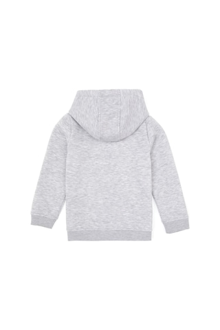 U.S. Polo Assn. Erkek Çocuk Açık Gri Örme Fermuarlı Kapüşonlu Hırka 50313852-VR001