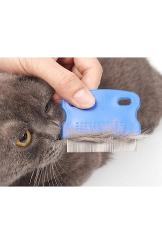 Catdoglife Orta ve Kısa Tüylü Kedi Bit Pire Dış Parazit Tarağı Kırmızı