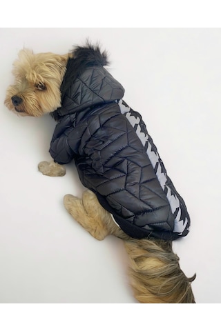 Kemique Luxy Black Köpek Montu Ceketi Köpek Dış Giyim