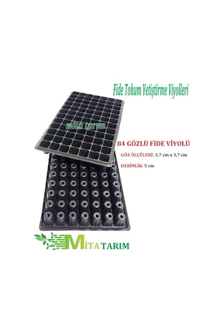 5 Adet,Fide Viyolu, 84 Göz, Fide Viyol Satışı, Fidelik (394094364)