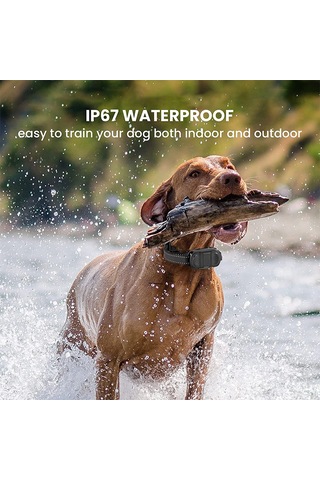 Qingmipy Su Geçirmez Köpek Eğitim Tasması - 600m Menzilli, 15-100kg Köpekler İçin Uzun Şarj Ömrü Ve Ayarlanabilir Seviyeler 111 Karakter