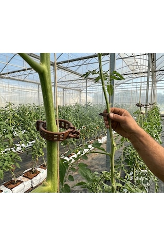 Bitki Klipsi Domates Klipsi 250 Adet 25 Mm Gövde Sarmaşık Bağlama