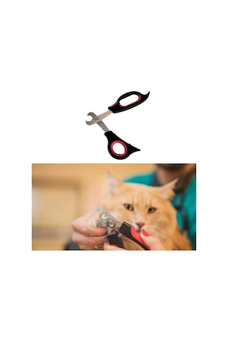 Büro Ev Evcil Hayvanı İçin Mini Çelik Uç Kedi Köpek Pati Tırnak Bakım Makası
