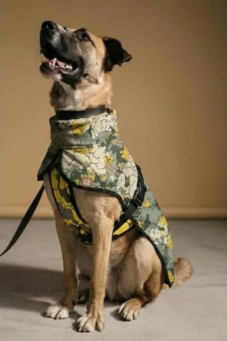2as Büyük Irk Köpekler İçin Yağmurluk, 9-55 Kg Arası Uygun 142335