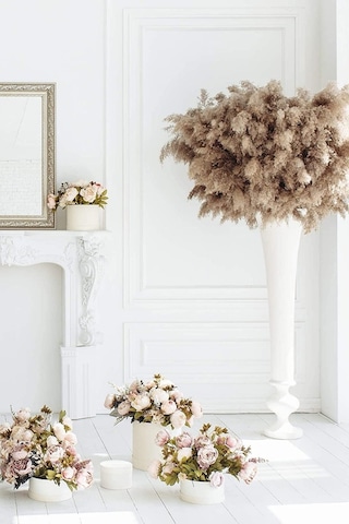 Alyones 10 Adet Kabarık Pampas Otu 100cm Doğal Kuru Pampas Dekor Boho Oda Çiçekleri Dekorasyonu