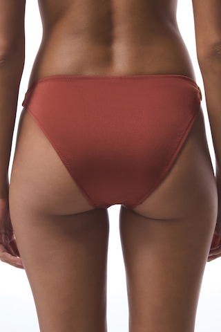 Penti Turuncu Braga Tokalı Bikini Altı
