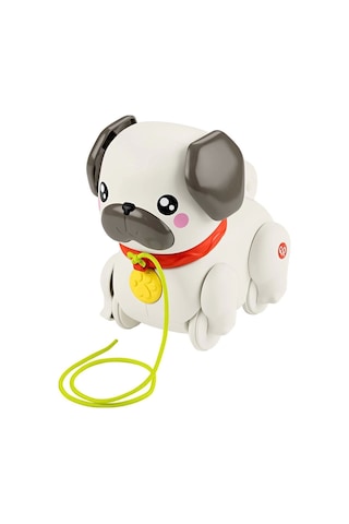 Fisher-Price Minik Dostumla Yürüyüş