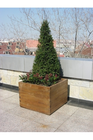 Ahşap Saksı (50 X 50 X 40 Cm)