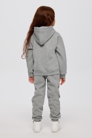 Panço Kız Çocuk Kapüşonlu Gri Sweatshirt